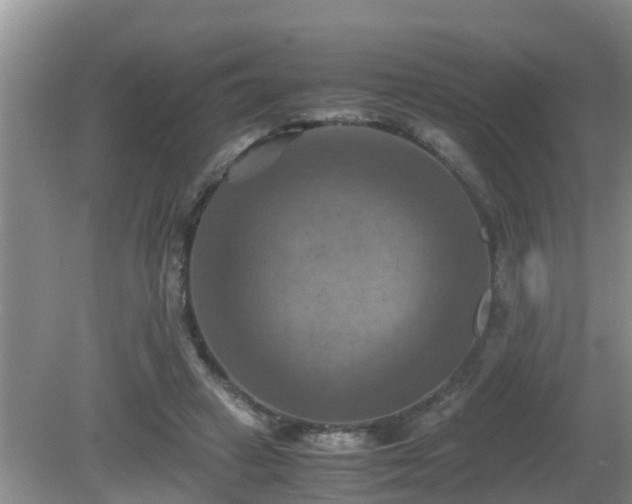 X0000081490449200701191902