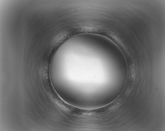 X0000081490450200701191902