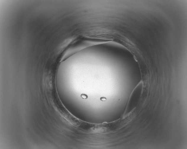 X0000081490452200701191902