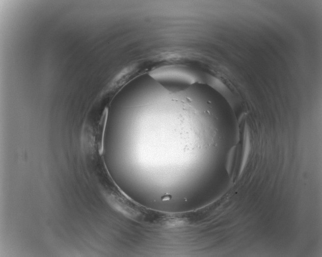 X0000081490456200701191903