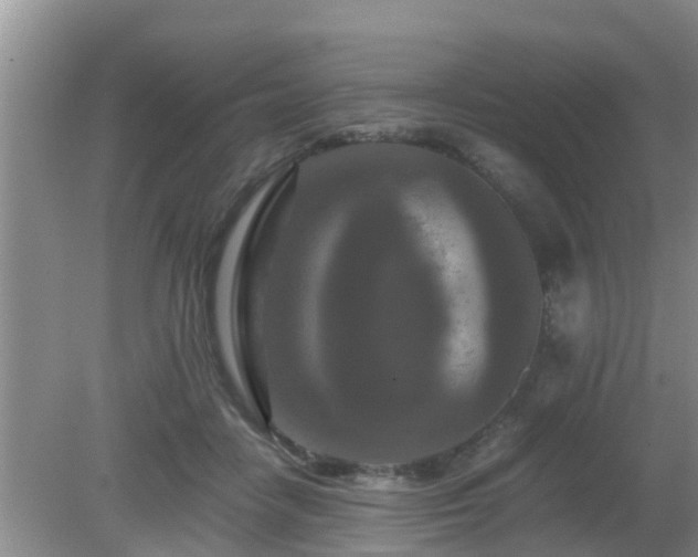 X0000081490458200701191903