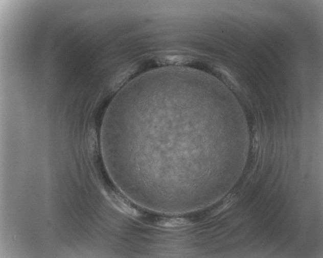 X0000081490459200701191903