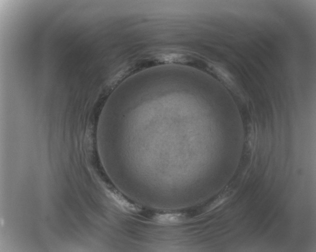 X0000081490461200701191903