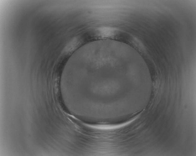 X0000081490462200701191903