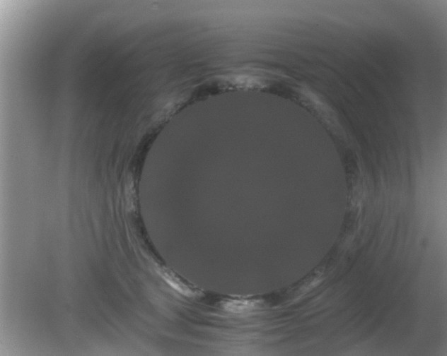 X0000081490465200701191903