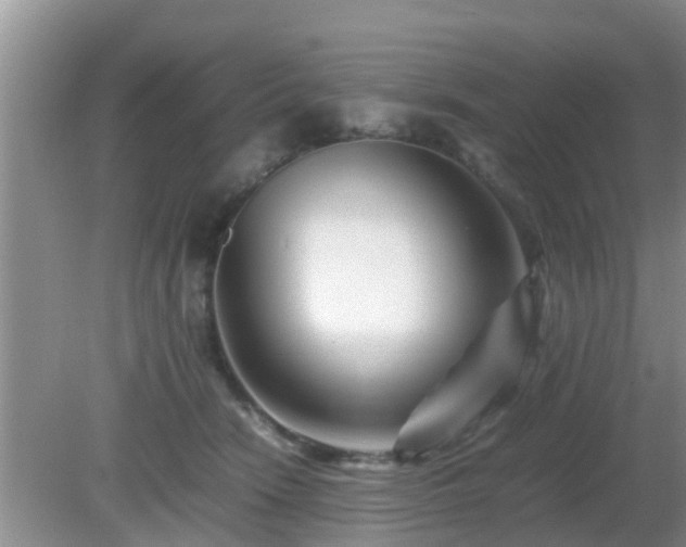 X0000081490466200701191903