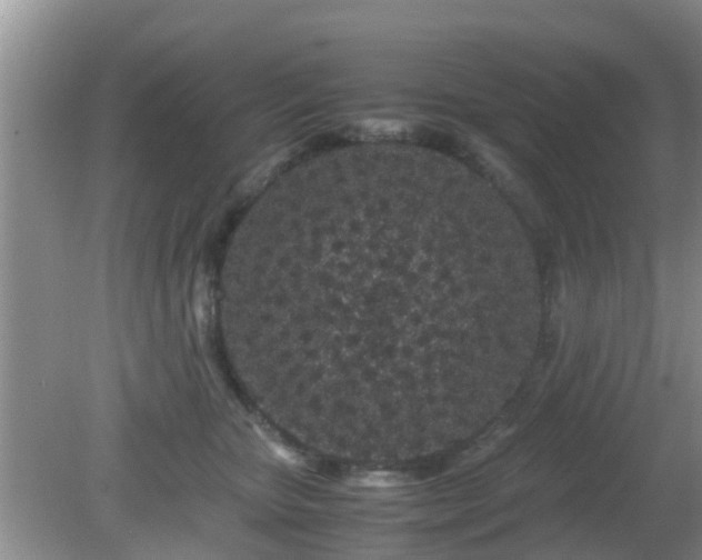 X0000081490467200701191903