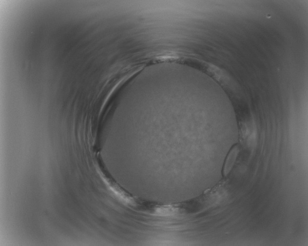 X0000081490470200701191903