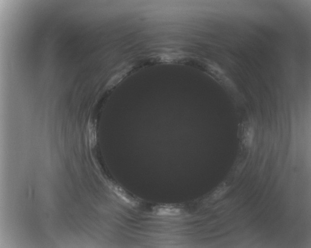 X0000081490471200701191903