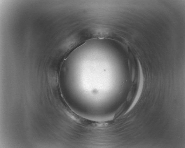 X0000081490474200701191903