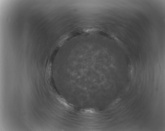 X0000081490475200701191903