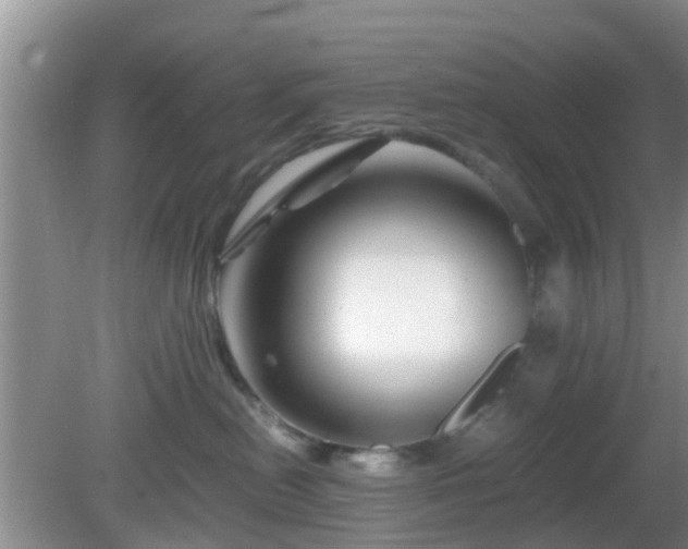 X0000081490478200701191903