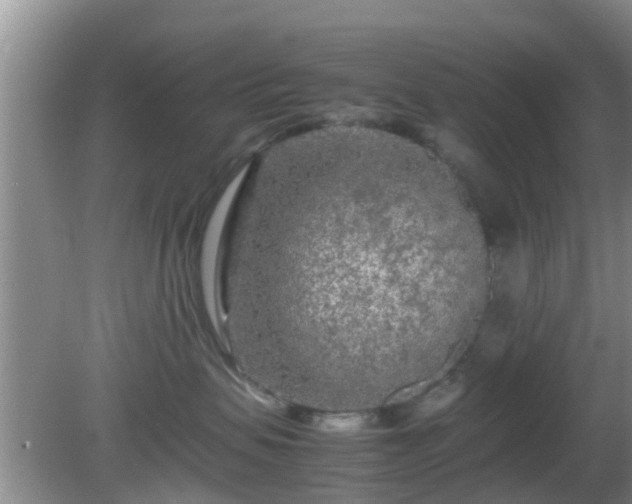 X0000081490479200701191903