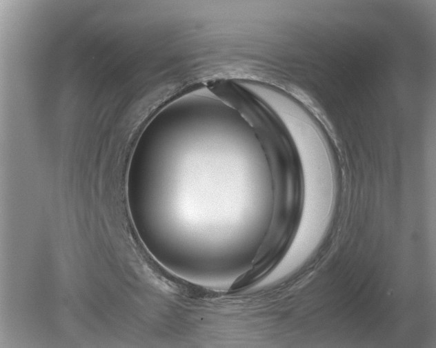 X0000081490481200701191902