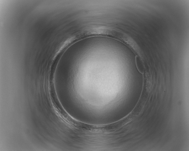 X0000081490482200701191902