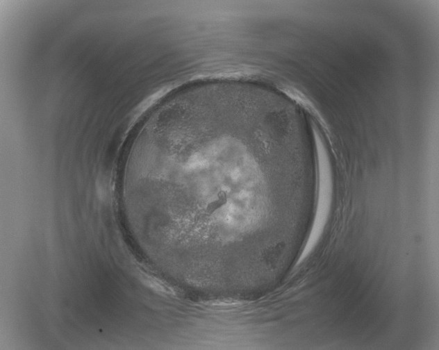 X0000081490483200701191902