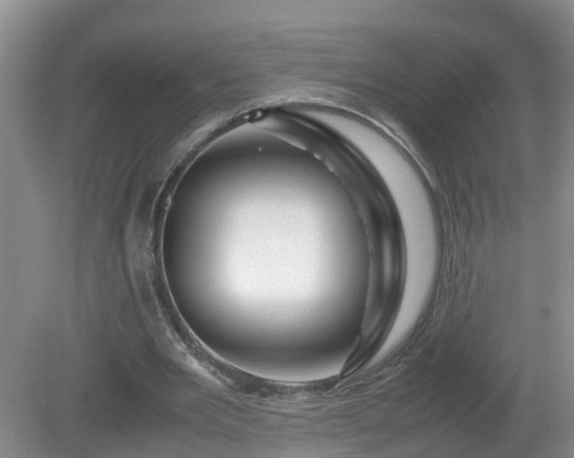 X0000081490485200701191902