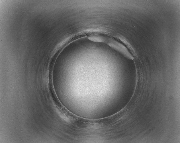 X0000081490486200701191902