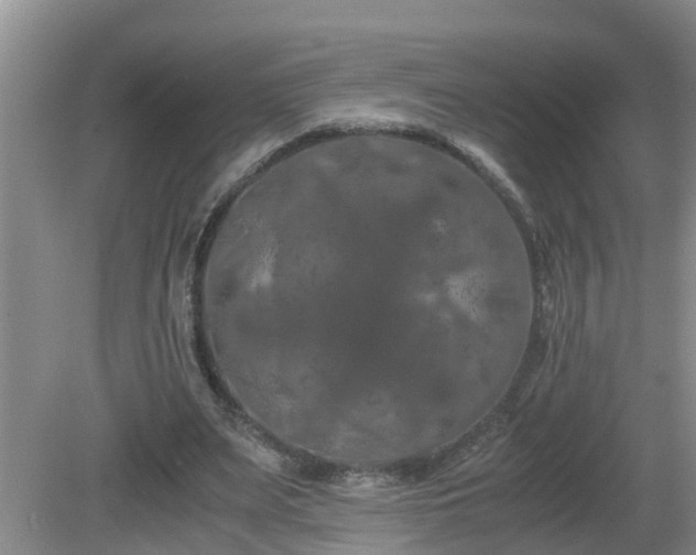 X0000081490487200701191902