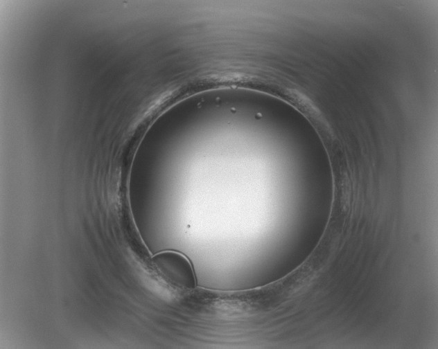 X0000081490490200701191902