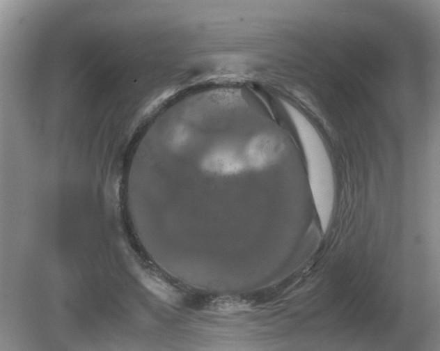 X0000081490491200701191902