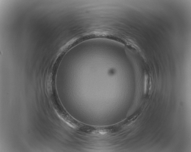 X0000081490492200701191902