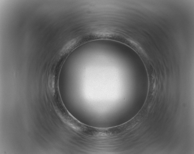 X0000081490494200701191902