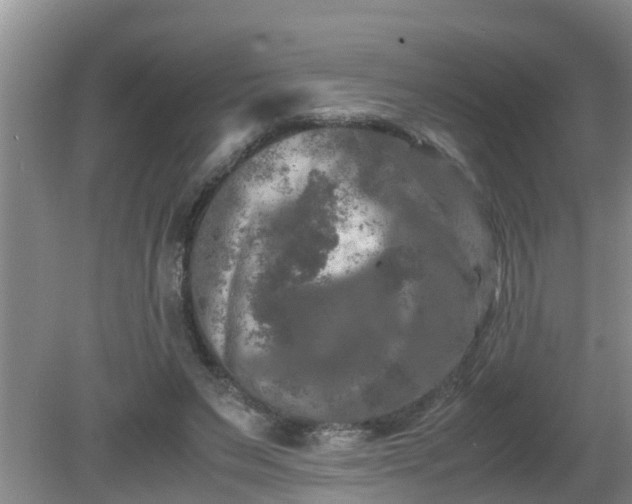 X0000081490495200701191902