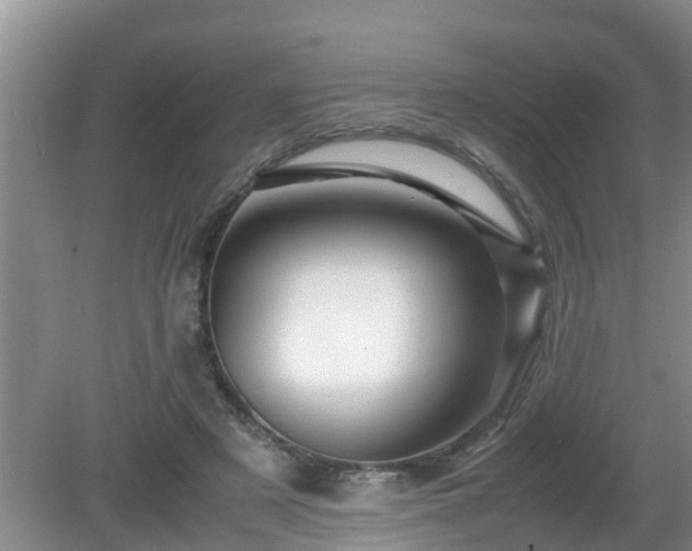 X0000081490497200701191902