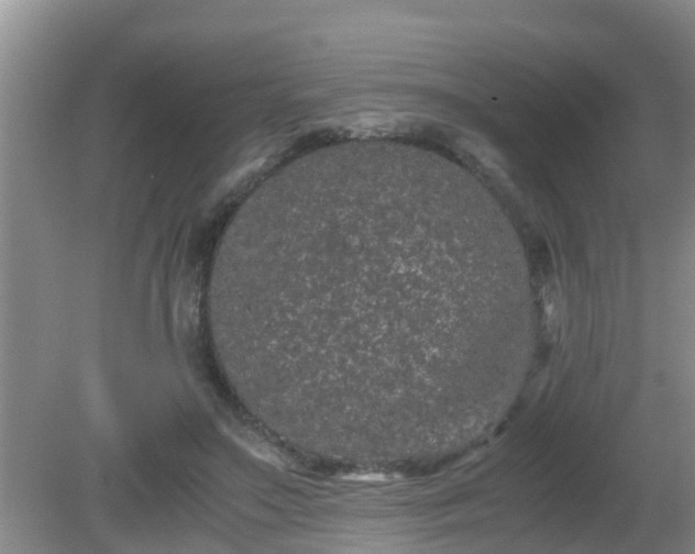 X0000081490499200701191902