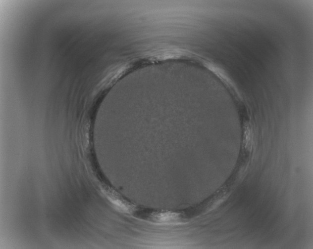 X0000081490501200701191902