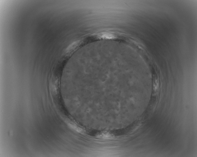 X0000081490503200701191902