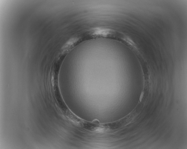 X0000081490504200701191902