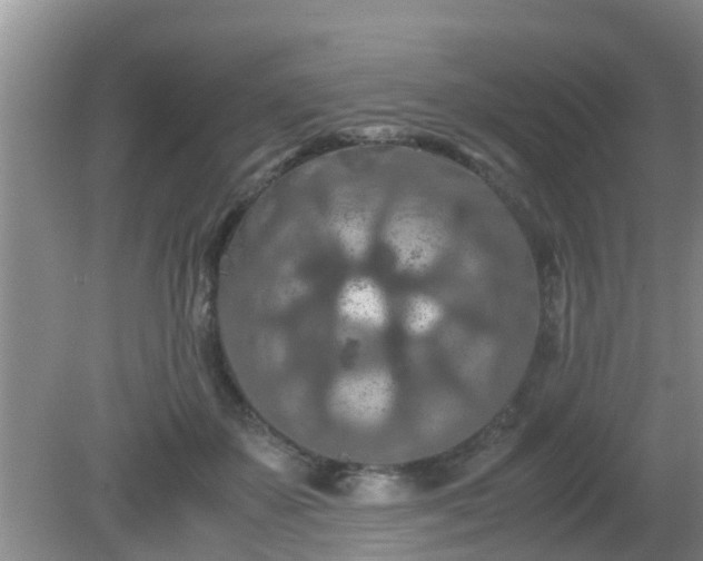 X0000081490507200701191902