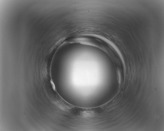 X0000081490508200701191902