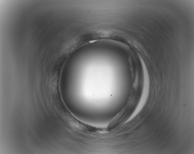 X0000081490509200701191902