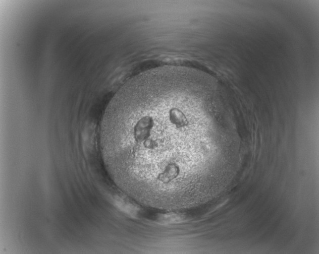 X0000081490511200701191902