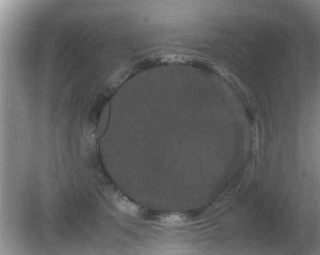 X0000081490513200701191902