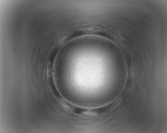 X0000081490515200701191902