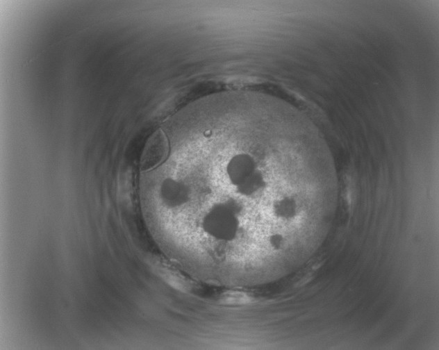 X0000081490519200701191902