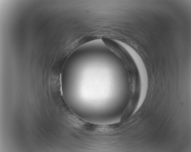 X0000081490521200701191901