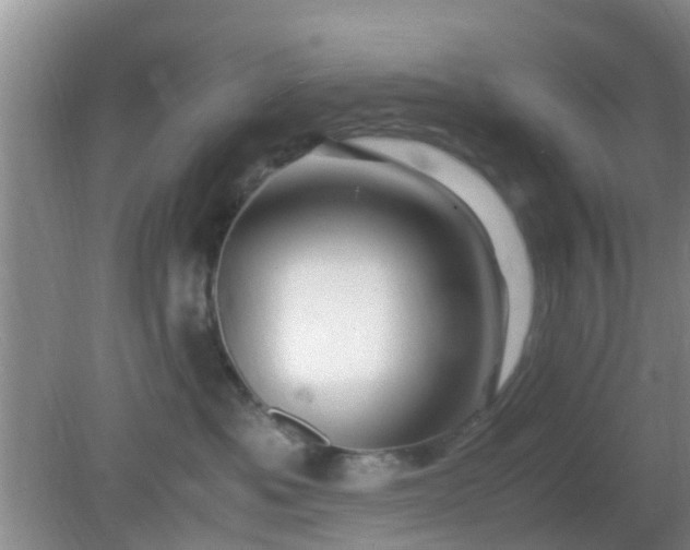 X0000081490525200701191901