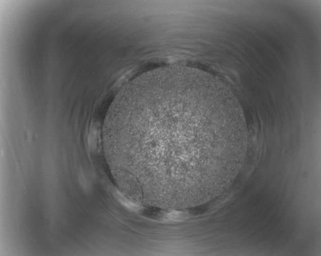 X0000081490527200701191901