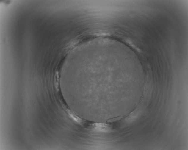 X0000081490528200701191901