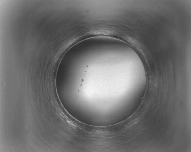 X0000081490529200701191901