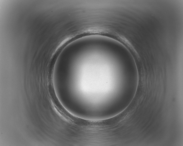 X0000081490530200701191901