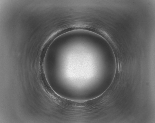 X0000081490531200701191901