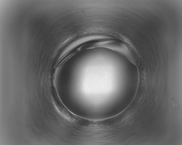 X0000081490538200701191901