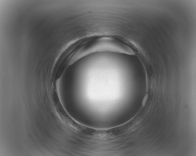 X0000081490540200701191901