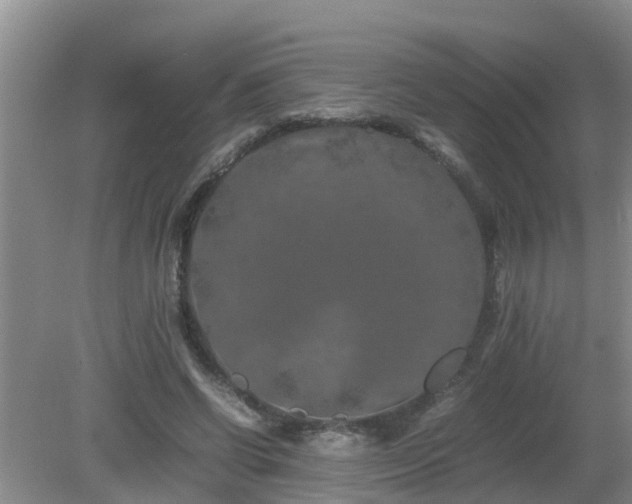 X0000081490542200701191901